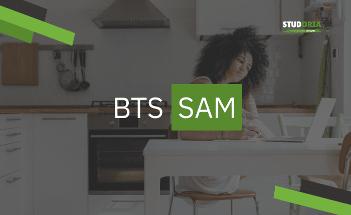 Cours BTS SAM